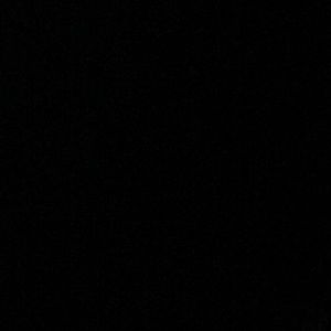 Meet your Posher, Louis